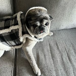 Meet your Posher, Joshua